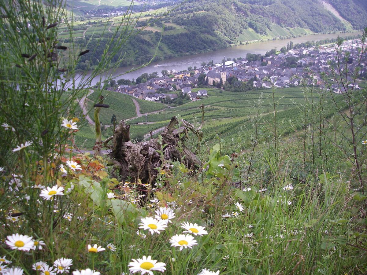 Weingut Bernd Hermes Krov Exterior photo